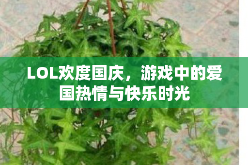 游戏中的爱国热情与快乐时光图片