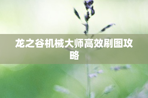 龙之谷机械大师高效刷图攻略图片
