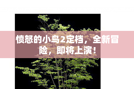 愤怒的小鸟2定档图片