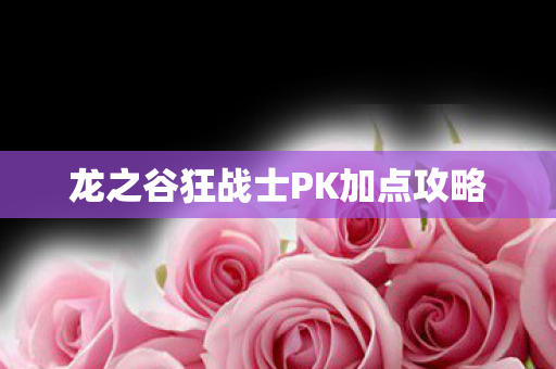 龙之谷狂战士PK加点攻略图片
