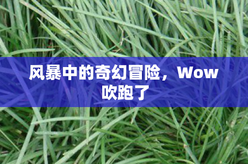 风暴中的奇幻冒险图片