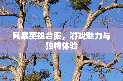 游戏魅力与独特体验图片