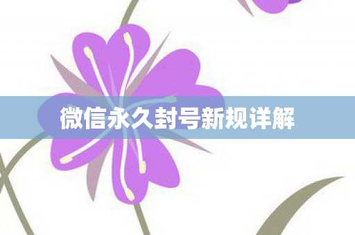 微信永久封号新规详解图片