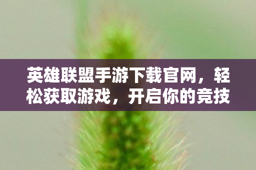 英雄联盟手游下载官网图片