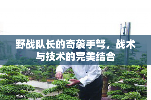 战术与技术的完美结合图片