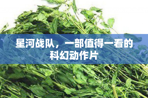 一部值得一看的科幻动作片图片