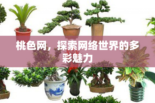 探索网络世界的多彩魅力图片