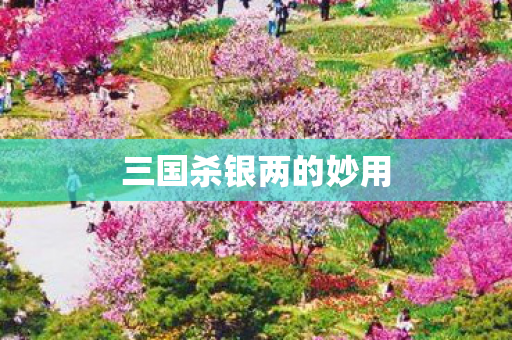 三国杀银两的妙用图片