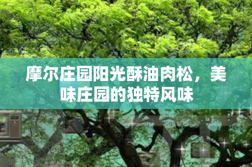 摩尔庄园阳光酥油肉松图片
