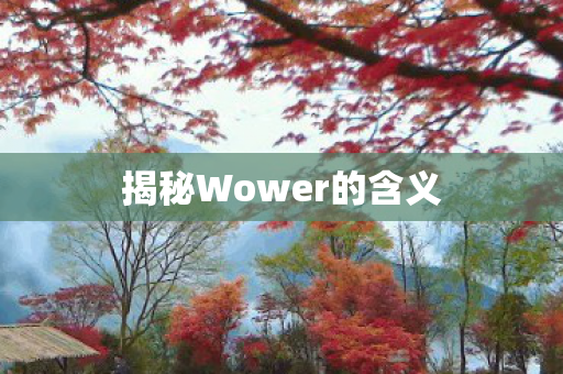 揭秘Wower的含义图片