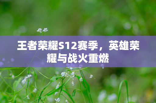 王者荣耀S12赛季图片