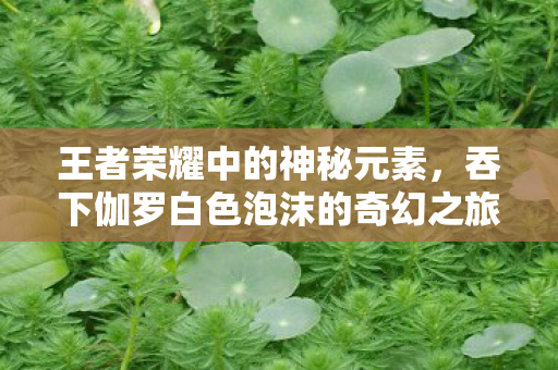 吞下伽罗白色泡沫的奇幻之旅图片