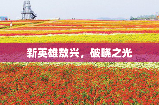 新英雄敖兴图片