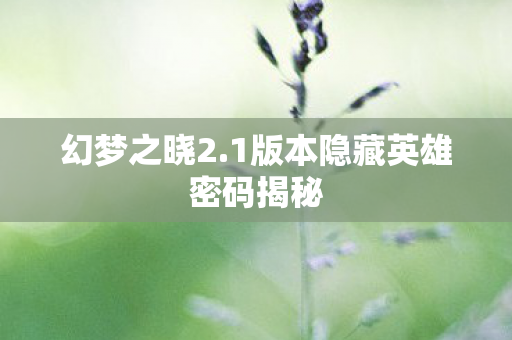 1版本隐藏英雄密码揭秘图片