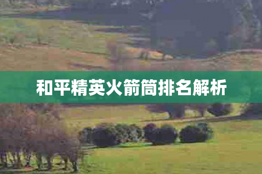 和平精英火箭筒排名解析图片