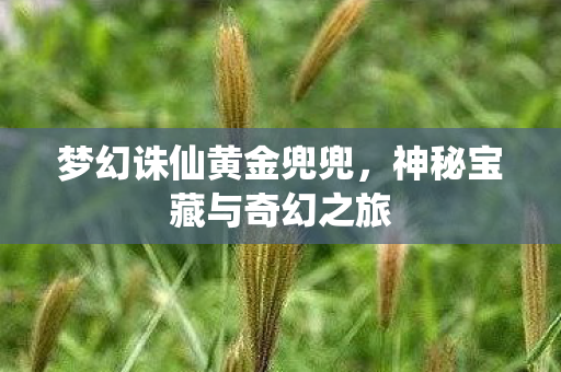 神秘宝藏与奇幻之旅图片