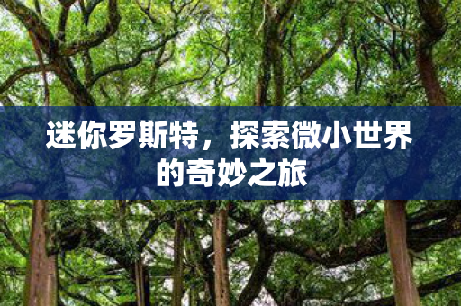 探索微小世界的奇妙之旅图片