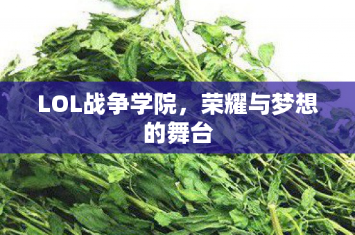 荣耀与梦想的舞台图片