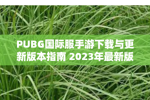 PUBG国际服手游下载与更新版本指南 2023年最新版图片