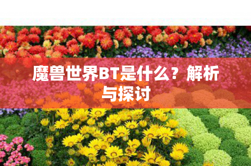 魔兽世界BT是什么图片