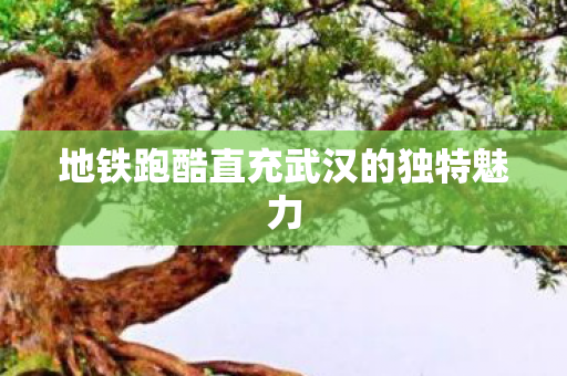 地铁跑酷直充武汉的独特魅力图片