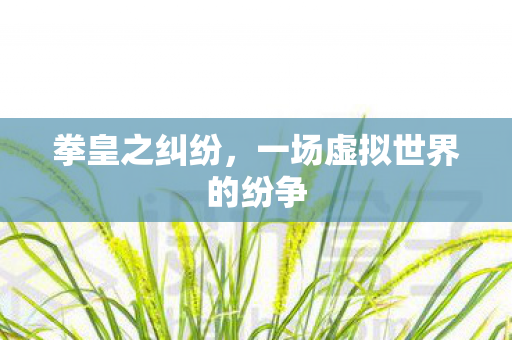 一场虚拟世界的纷争图片