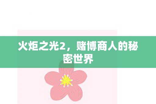 赌博商人的秘密世界图片
