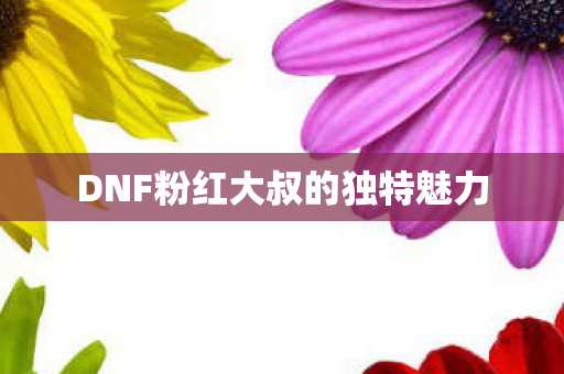 DNF粉红大叔的独特魅力图片