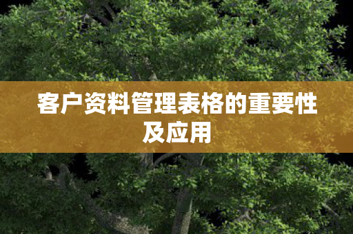 客户资料管理表格的重要性及应用图片