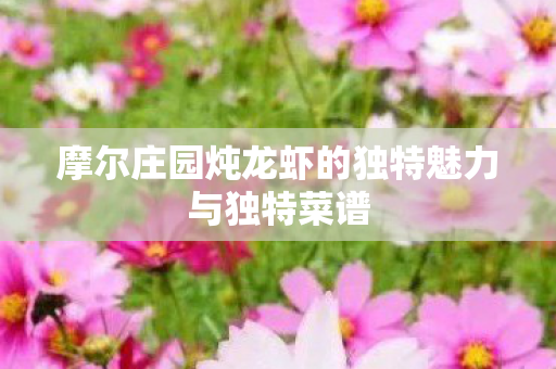 摩尔庄园炖龙虾的独特魅力与独特菜谱图片