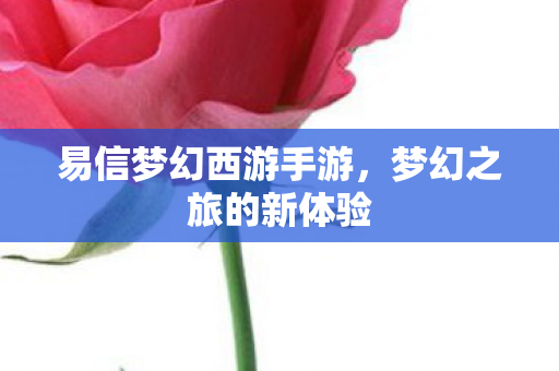 易信梦幻西游手游图片