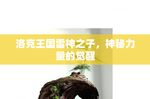 洛克王国雷神之子图片