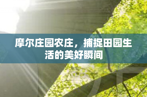 捕捉田园生活的美好瞬间图片