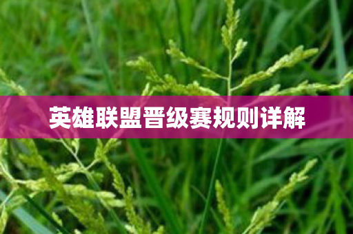 英雄联盟晋级赛规则详解图片