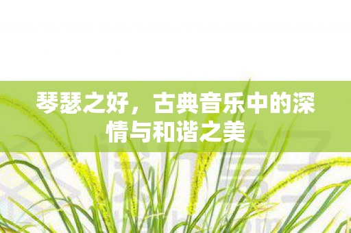 古典音乐中的深情与和谐之美图片