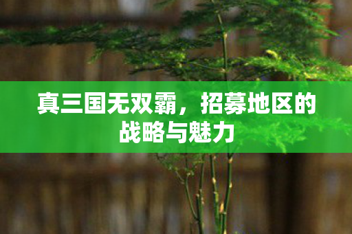 招募地区的战略与魅力图片
