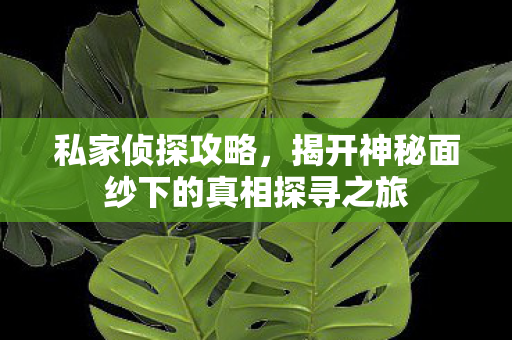 揭开神秘面纱下的真相探寻之旅图片