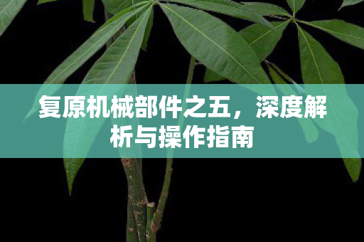 深度解析与操作指南图片
