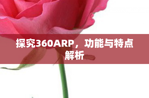 探究360ARP图片