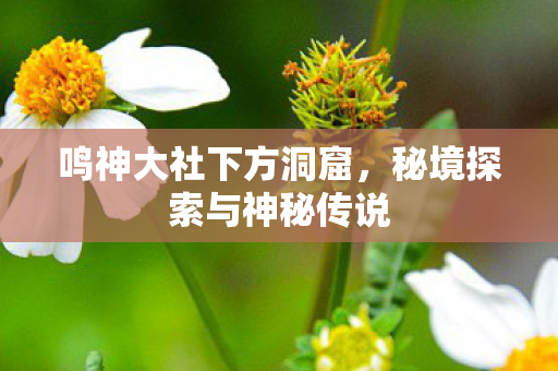 秘境探索与神秘传说图片