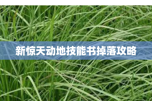 新惊天动地技能书掉落攻略图片