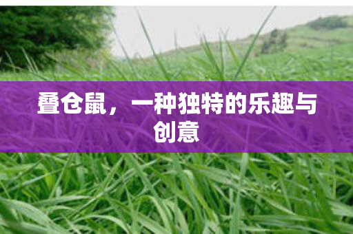 一种独特的乐趣与创意图片