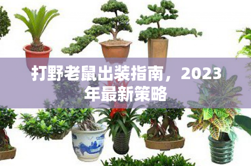 2023年最新策略图片