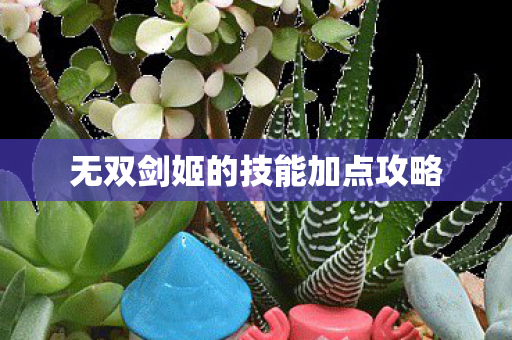 无双剑姬的技能加点攻略图片