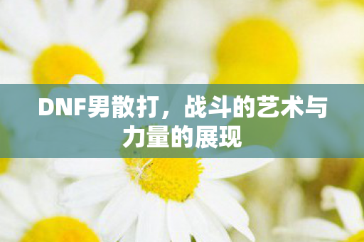 战斗的艺术与力量的展现图片