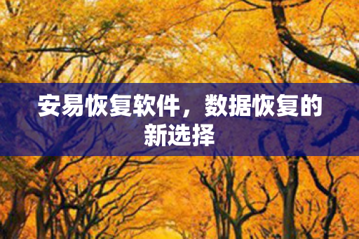 数据恢复的新选择图片