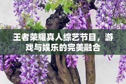 王者荣耀真人综艺节目图片