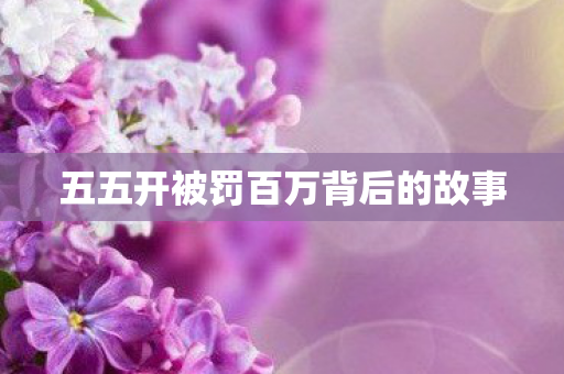 五五开被罚百万背后的故事图片