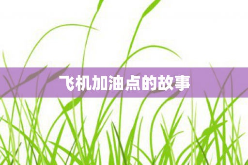 飞机加油点的故事图片