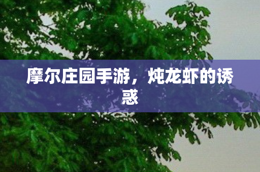 摩尔庄园手游图片